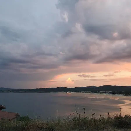 Provence ソゾポル